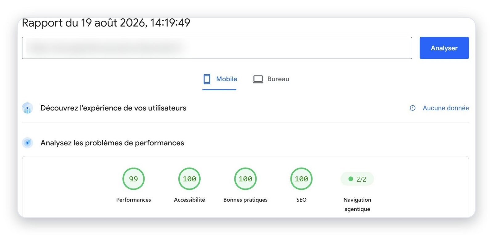 Rapport Google PageSpeed : 99 à 100 sur 100